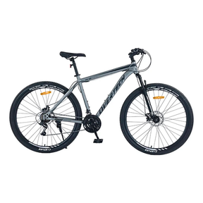Bicicleta de Montaña Overtech R29 Q5 21v Freno de disco Shimano 12x