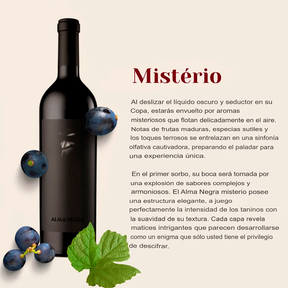 Alma Negra Misterio x3