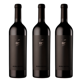 Alma Negra Misterio x3